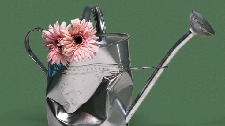 'Badakizu plastikozko loreak ez direla inoiz bizi izan, ezta?'