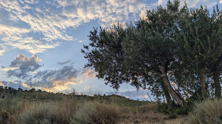 Beroaldia bere horretan mantenduko da