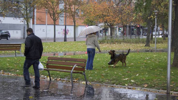 Gasteizko Udalak ukatu du txakurrak pozoitu dituztenik hirian