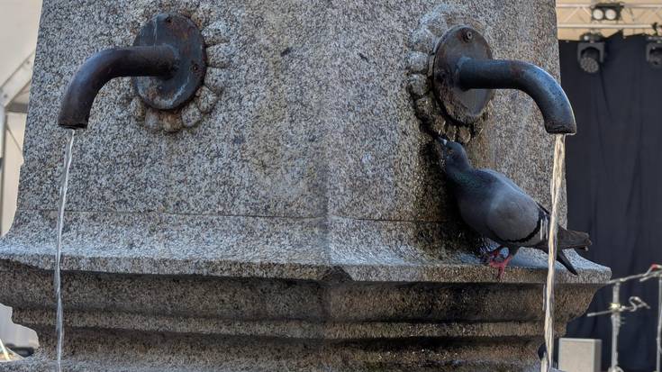 Bero-boladen ondorioak areagotzea leporatu diote Gasteizko Udalari