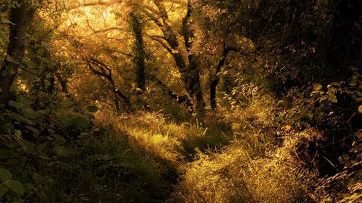 Erriberabeitia eta Somiedo: udako argazki lehiaketako bazter kuttunenak