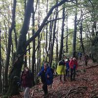 [GEUREKIN MENDIRA] Lokizeko haran ezkutua