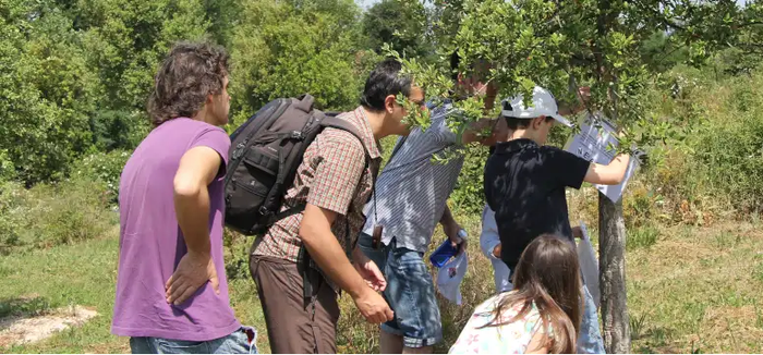 Gymkhana, 'Zuhaitzak ikertzen'