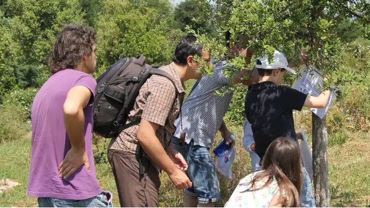 Gymkhana, 'Zuhaitzak ikertzen'