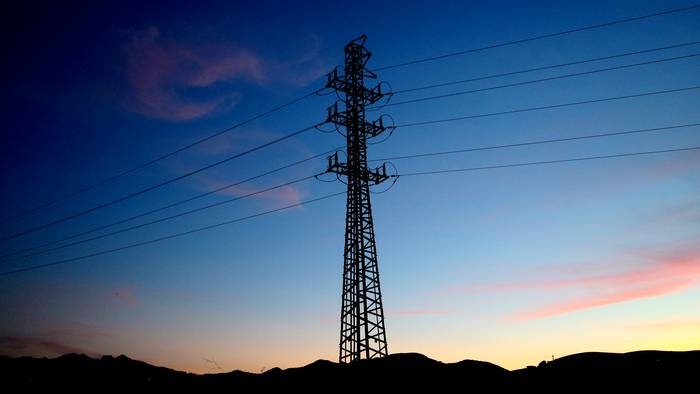 Hegazti faunarentzako "esklusio eremuak" eskatu dituzte