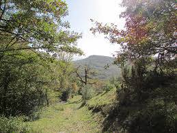 [GEUREKIN MENDIRA] Egileta-Birgara