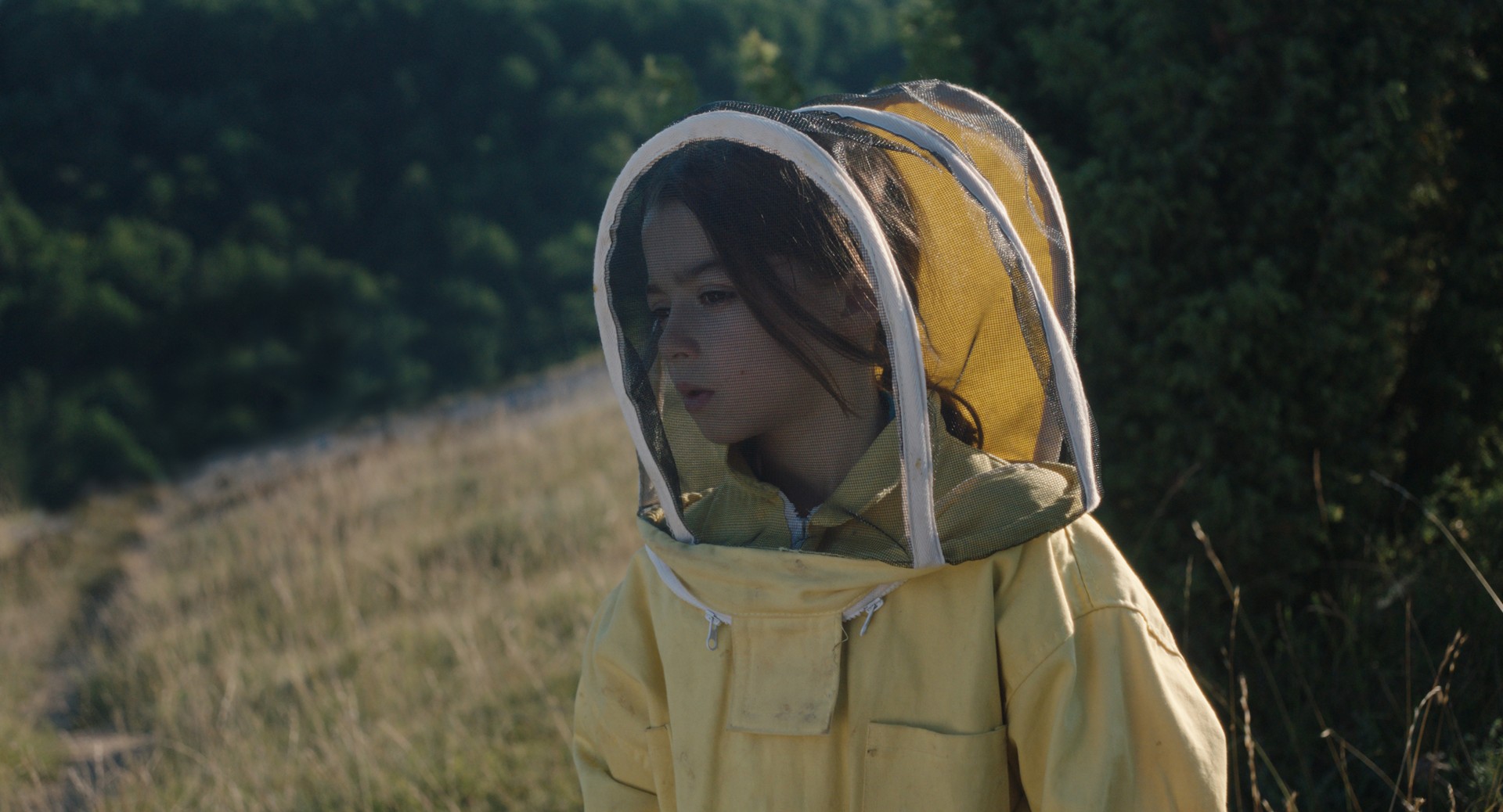 Zinema aretoetara iritsi da '20.000 especies de abejas' filma
