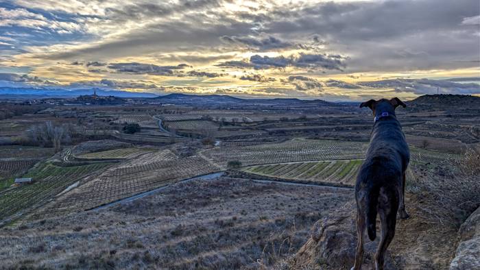 Haize indartsua, eta euria