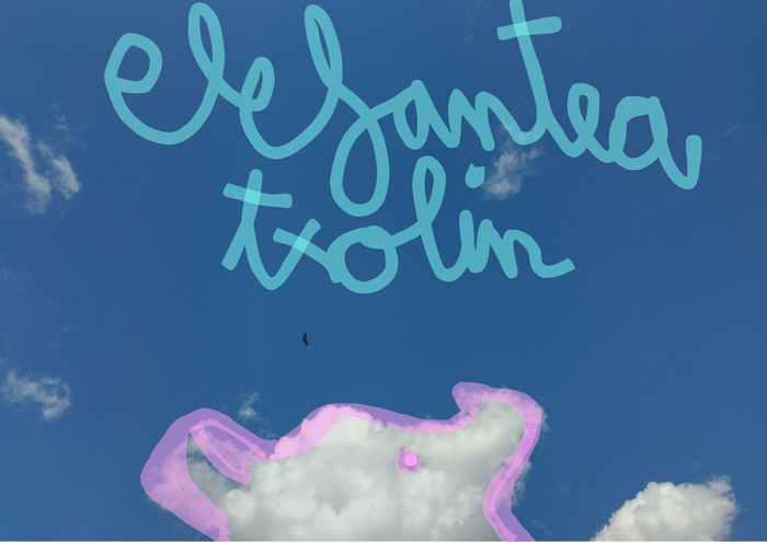 Udan elefanteak zeruan