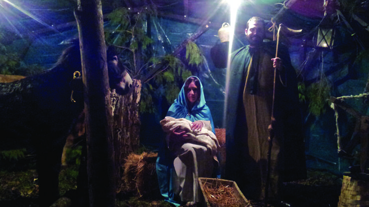 Haragitzen diren jaiotzak