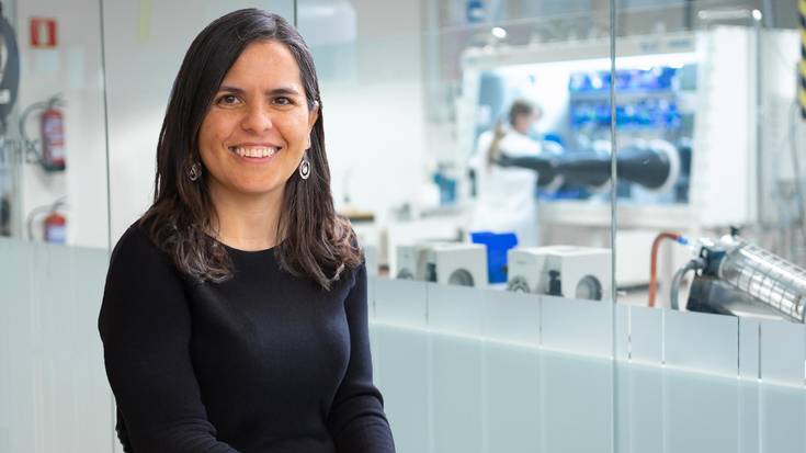 Casas-Cabanas izendatu dute Energiguneko zuzendari zientifiko