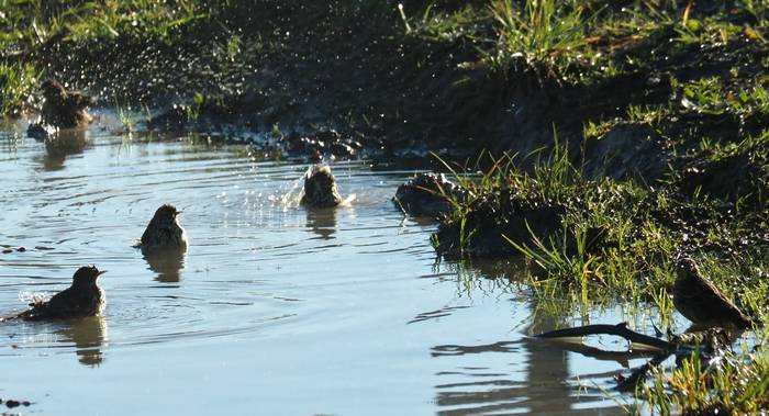 Eguzkiak ez du berotuko