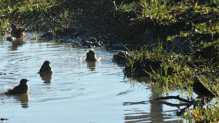 Eguzkiak ez du berotuko