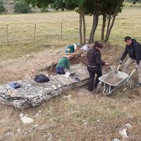 Kuartangoko trikuharriak