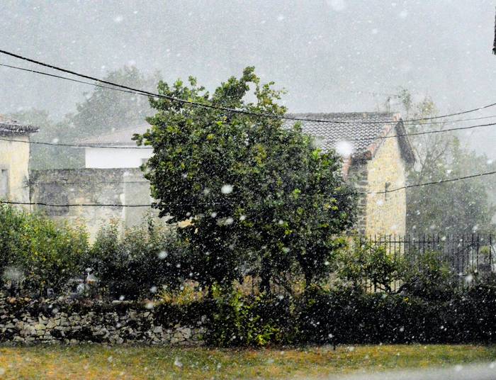 Euriak frekura ekartzen du