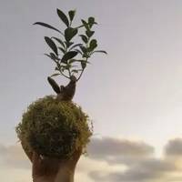 Kokedamak egiteko lantegia