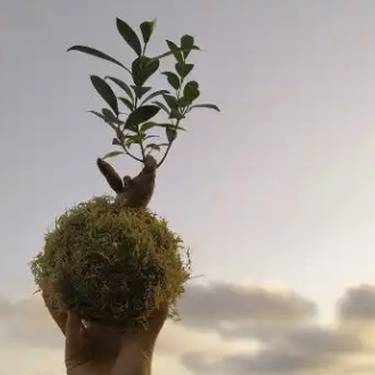 Kokedamak egiteko lantegia