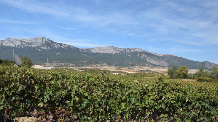 Kantabria Mendilerroa toponimoaren aldeko plataforma sortu dute