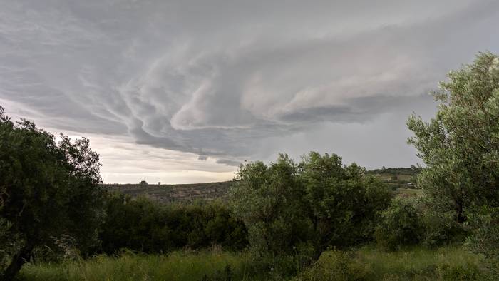 Beroak segida izango du