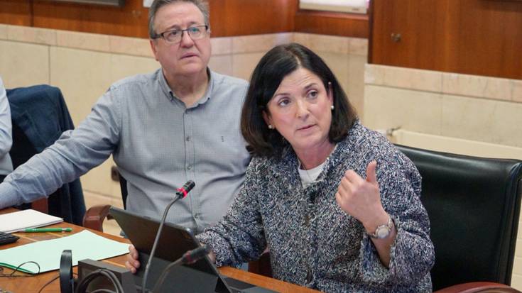 Bus geltokian segurtasuna "bermatuta" dagoela esan du Artolazabalek