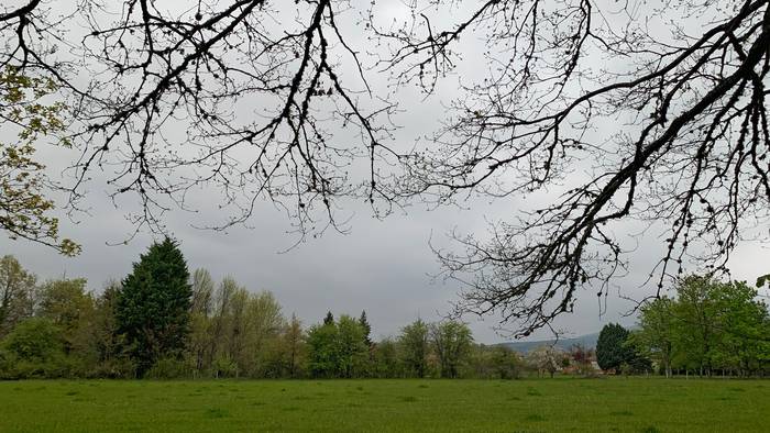 Arratsaldean, menia txikia