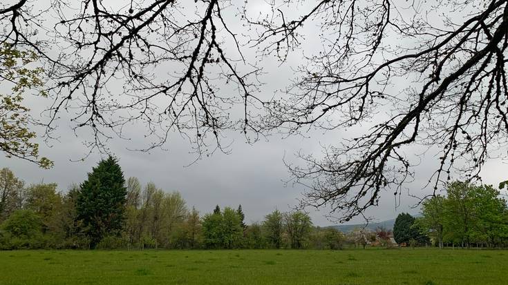 Arratsaldean, menia txikia