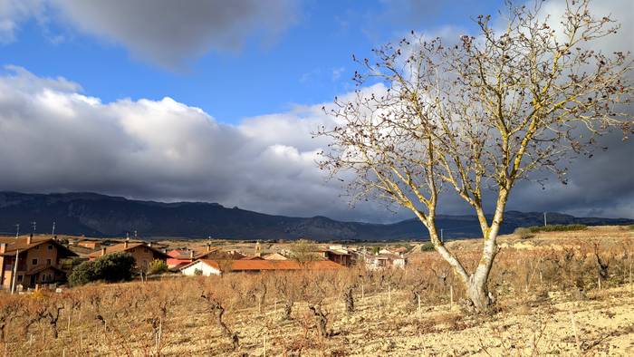 Adi, elurra pilatuko ote den