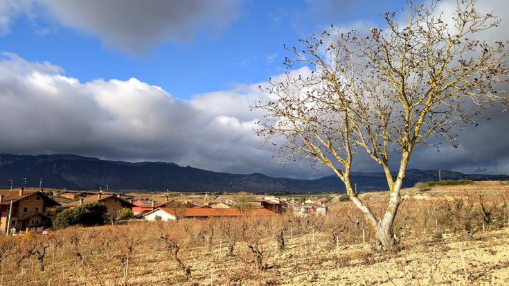 Adi, elurra pilatuko ote den