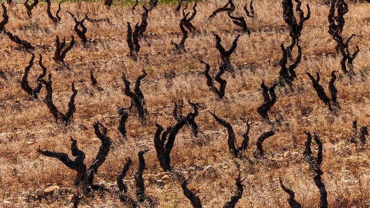 Eutsiko dio, arratsaldera arte