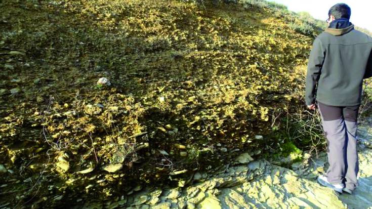 Gasteizko urtegi ikusezina erakutsiko dute Geoloegunean