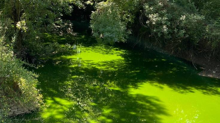 UAGAk ukatu du Zadorran isuririk egon denik