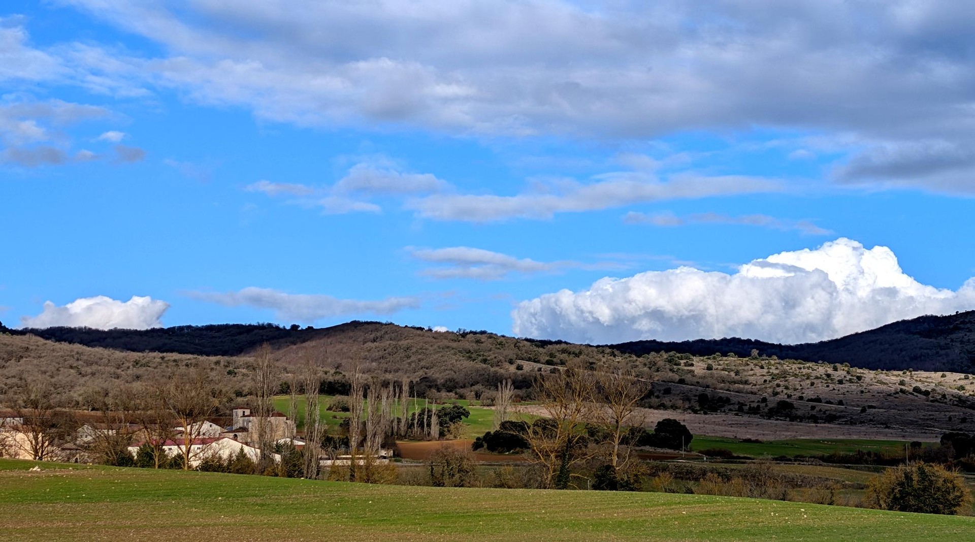 Bagurrina, eta eguzkitan