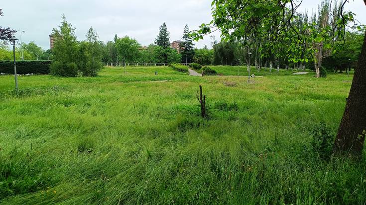 'Green and wild' daude Gasteizko parkeak
