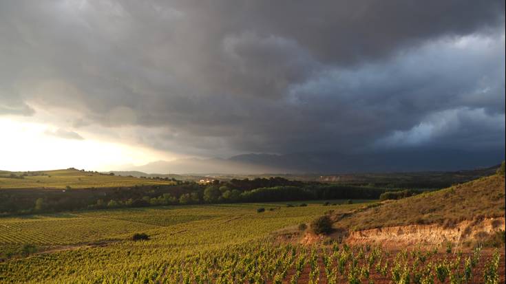 Hezetasuna ekarri du Isidrok