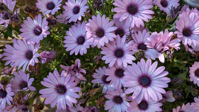 Arratsaldez eta igandean, aterkia eskura