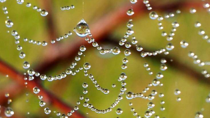 Gore-texdun mozorroa, badaezpada ere