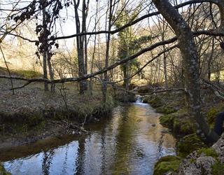 Asteburuan Ihuda ibaian izandako isuria ikertzen ari da URA