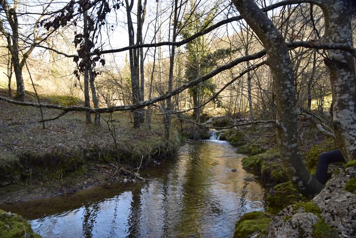 Asteburuan Ihuda ibaian izandako isuria ikertzen ari da URA