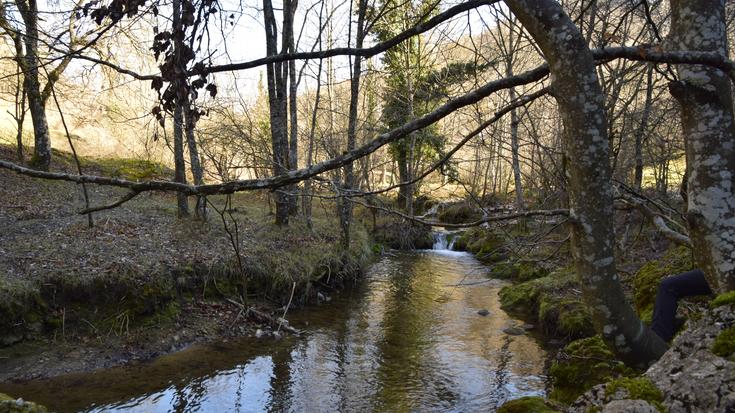Asteburuan Ihuda ibaian izandako isuria ikertzen ari da URA