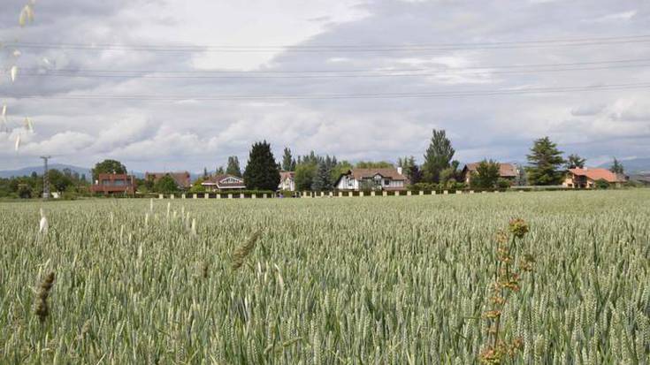 Arabako landa eremuaren krisiari aurre egiteko esperientziak