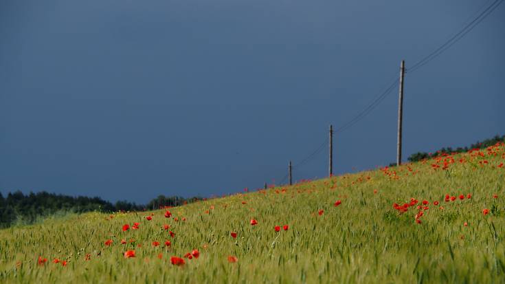 Dana delako hori gainera datorkigu