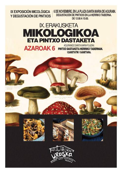 IX. erakusketa mikologikoa