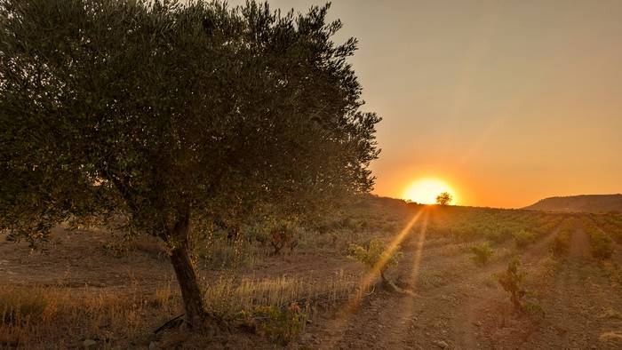 Dotoreziari eutsiko dio