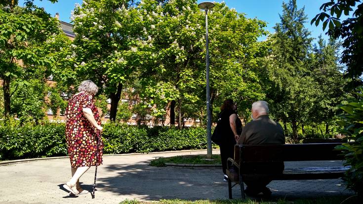 Gasteizek 7.925 zuhaitz ikuskatuko ditu, banan-banan