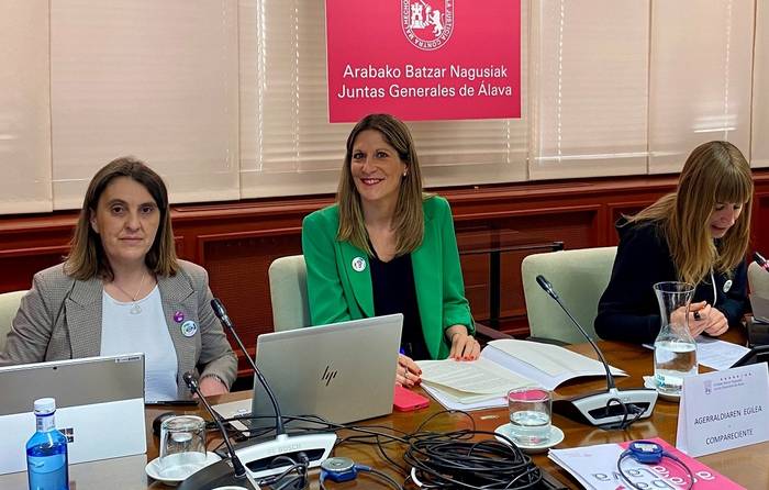 Azpiegitura berriekin ingurumen helburuak lortuko direla uste du aldundiak