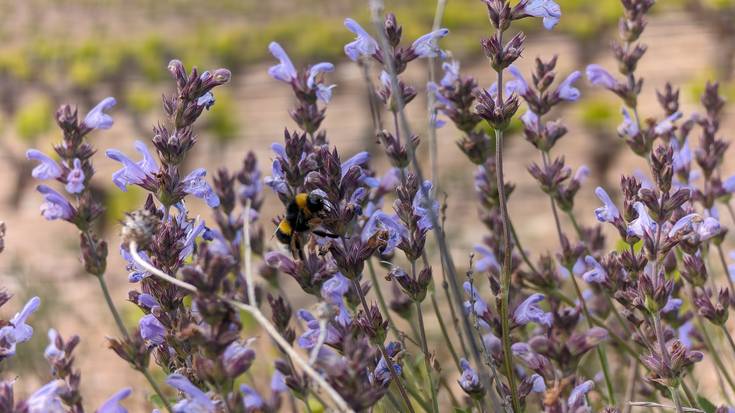 Hodei gehiago izango ditugu