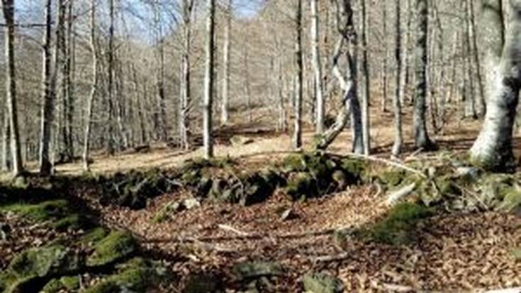 [GEUREKIN MENDIRA]: Etxarriko trikuharriak