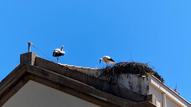 Eki datorkigu, berriz ere