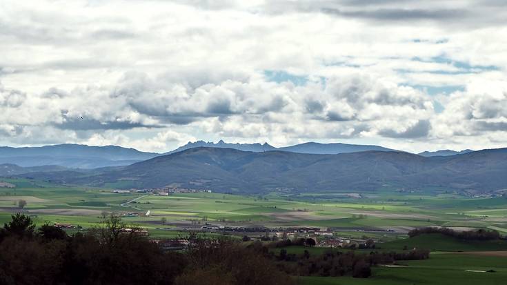 Gogoz hartutako griskara