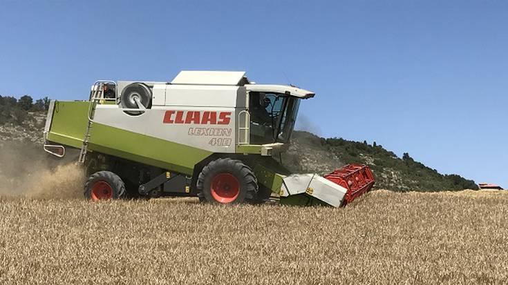 "Bikaina" izan da zerealaren uzta Araban